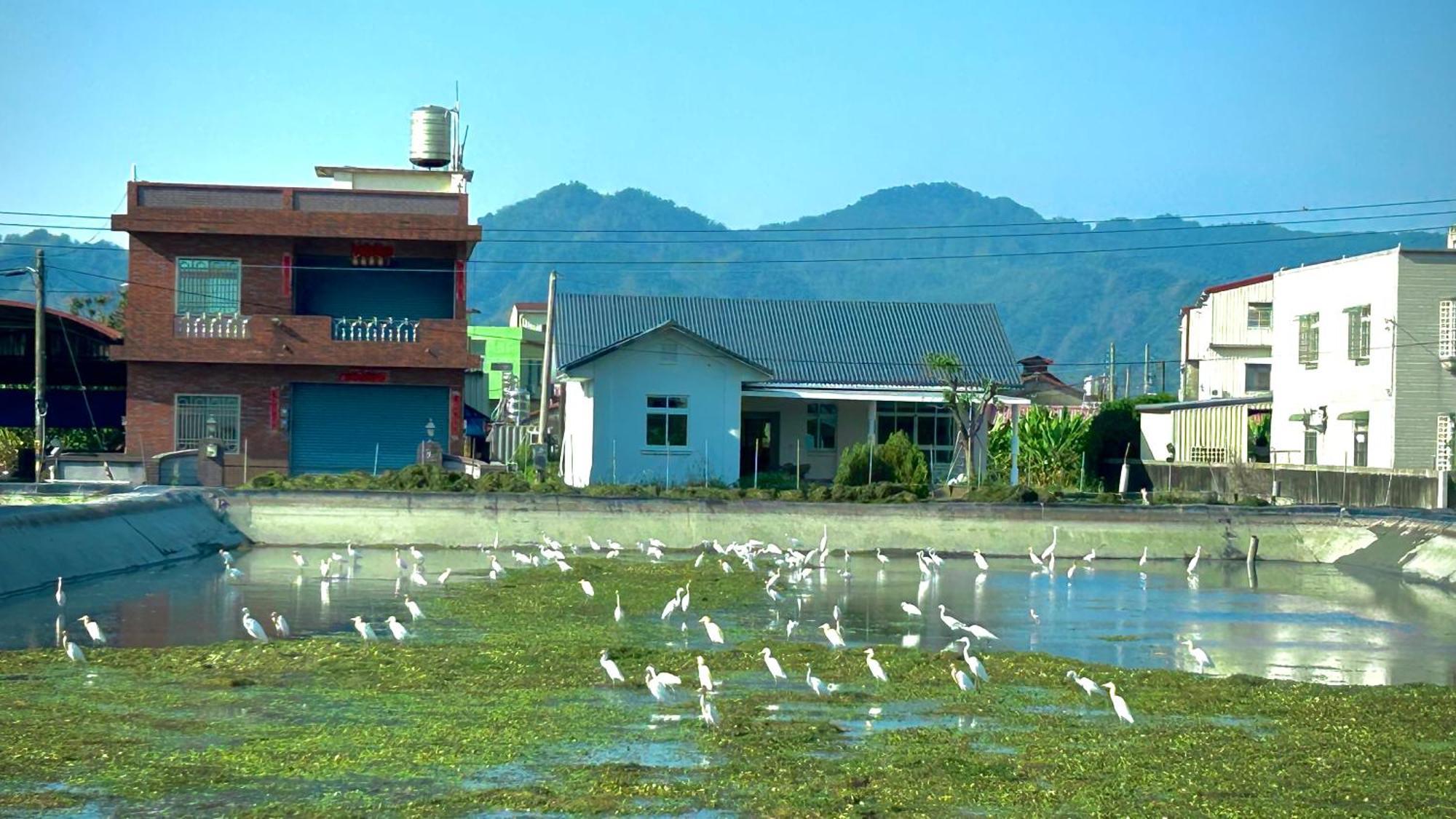 Mei Nong Villa Mei-nung Экстерьер фото